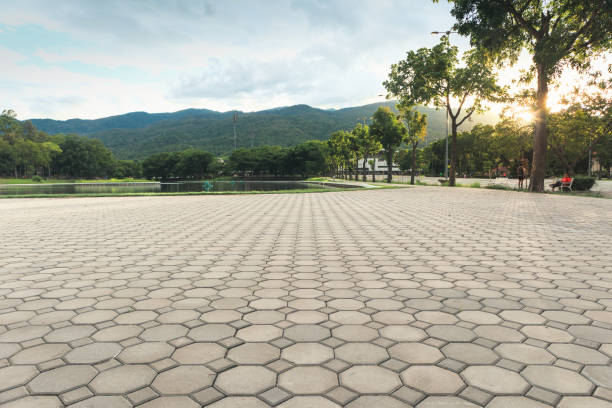 Best Decorative Driveway Pavers  in Traer, IA